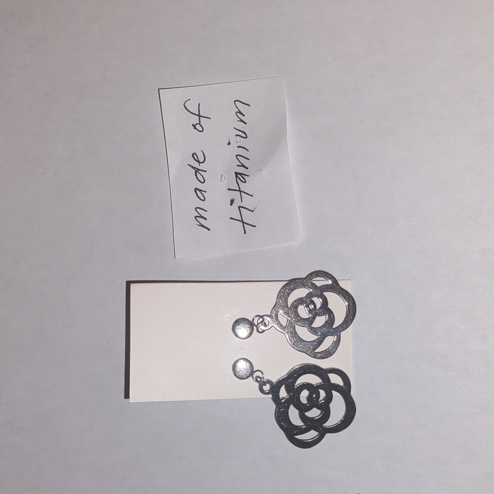 NWT Titanium Earrings